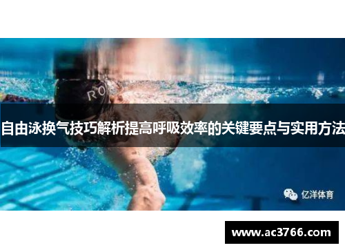 自由泳换气技巧解析提高呼吸效率的关键要点与实用方法