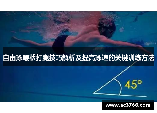 自由泳鞭状打腿技巧解析及提高泳速的关键训练方法