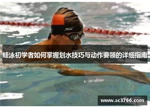 蛙泳初学者如何掌握划水技巧与动作要领的详细指南