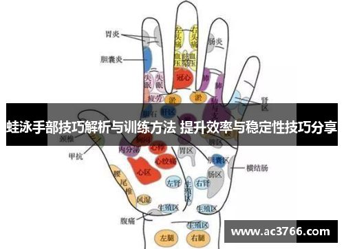 蛙泳手部技巧解析与训练方法 提升效率与稳定性技巧分享
